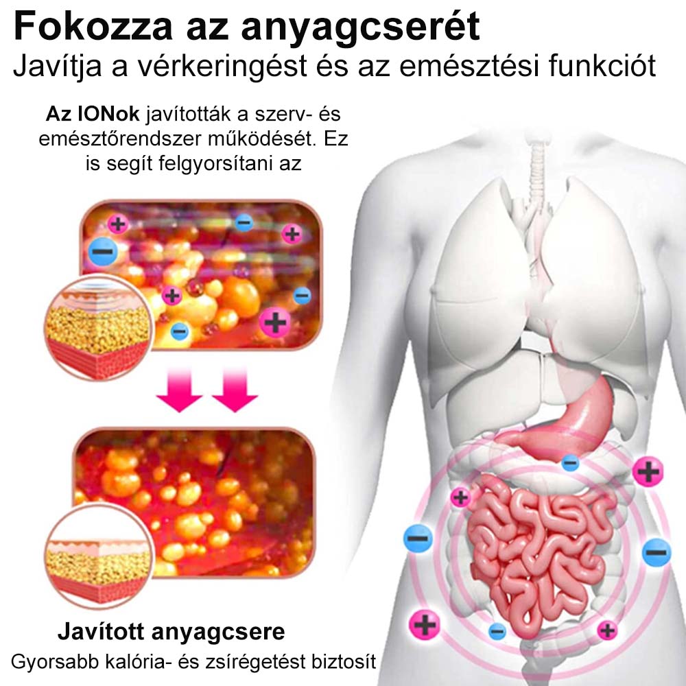🎁 Már csak 5 darab maradt! További 50% kedvezményt kínálunk Önnek! Maradjon egészséges, tartsa formáját. Kezdjen el fogyni most, mert jövőre már nem lesz lehetősége.